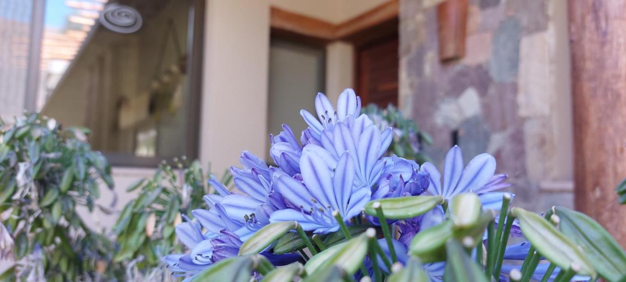 Hotel Tulmas Tilcara Dış mekan fotoğraf